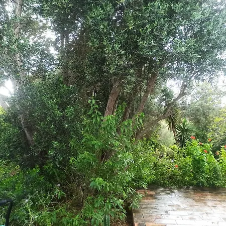 Casa Maria Hébergement de vacances