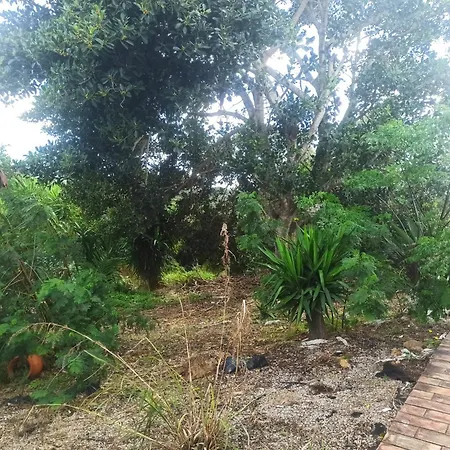 Casa Maria Moncarapacho